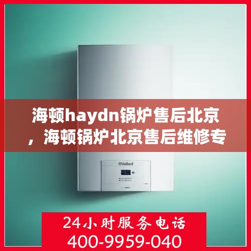 海顿haydn锅炉售后北京，海顿锅炉北京售后维修专业服务