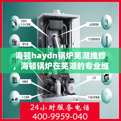 海顿haydn锅炉芜湖维修，海顿锅炉在芜湖的专业维修服务