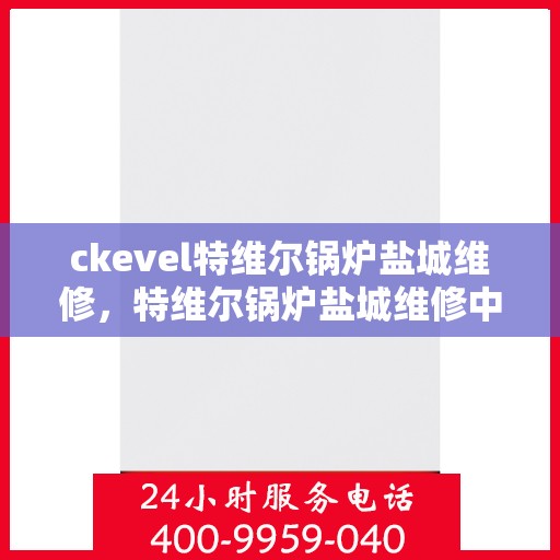 ckevel特维尔锅炉盐城维修，特维尔锅炉盐城维修中心，专业维修服务，解决您的锅炉问题