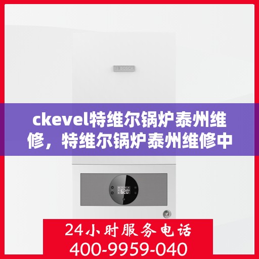 ckevel特维尔锅炉泰州维修，特维尔锅炉泰州维修中心，专业维修服务，保障高效运行