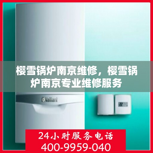 樱雪锅炉南京维修，樱雪锅炉南京专业维修服务