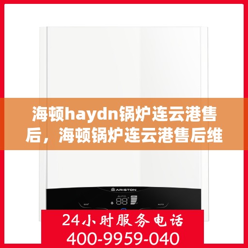 海顿haydn锅炉连云港售后，海顿锅炉连云港售后维修专业服务