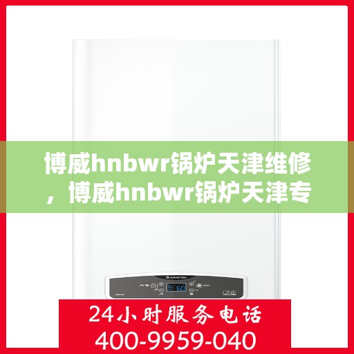 博威hnbwr锅炉天津维修，博威hnbwr锅炉天津专业维修服务