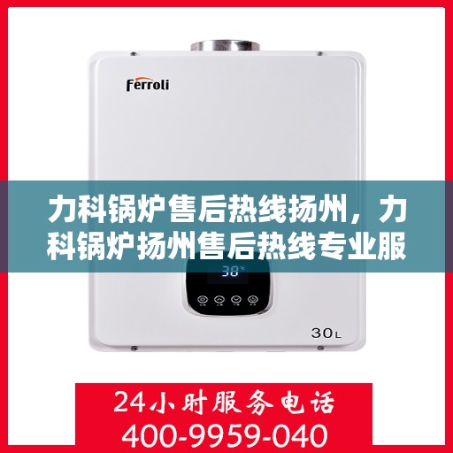 力科锅炉售后热线扬州，力科锅炉扬州售后热线专业服务，贴心保障