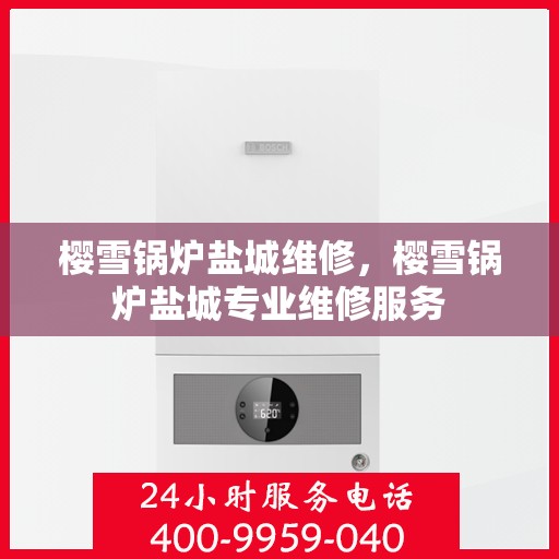 樱雪锅炉盐城维修，樱雪锅炉盐城专业维修服务