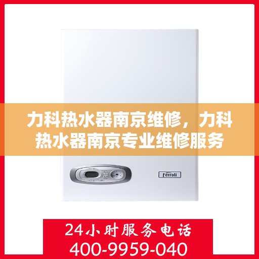 力科热水器南京维修，力科热水器南京专业维修服务