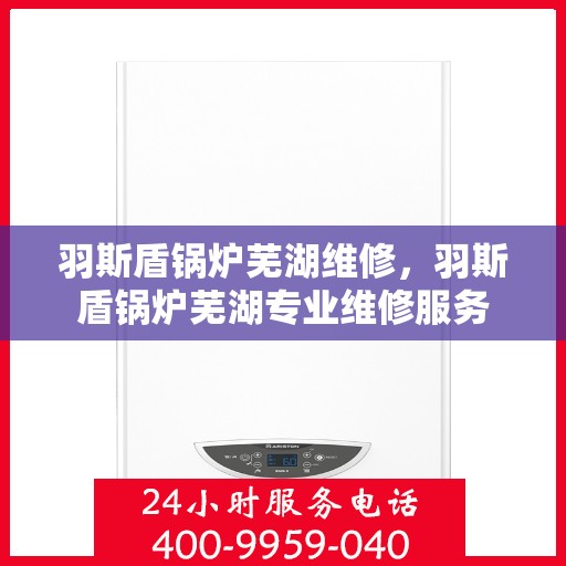羽斯盾锅炉芜湖维修，羽斯盾锅炉芜湖专业维修服务