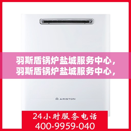 羽斯盾锅炉盐城服务中心，羽斯盾锅炉盐城服务中心，专业维修与优质服务并行