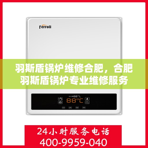 羽斯盾锅炉维修合肥，合肥羽斯盾锅炉专业维修服务
