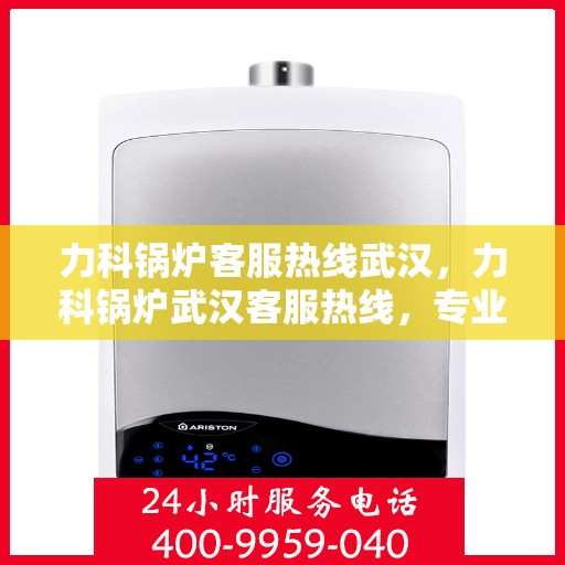 力科锅炉客服热线武汉，力科锅炉武汉客服热线，专业解答，贴心服务