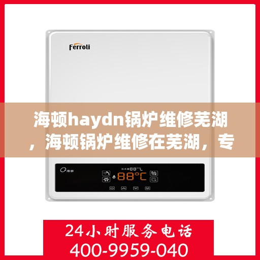 海顿haydn锅炉维修芜湖，海顿锅炉维修在芜湖，专业团队解决您的锅炉问题