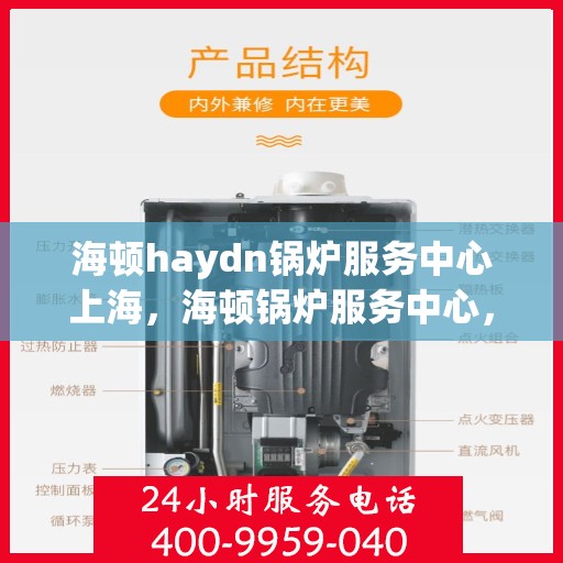 海顿haydn锅炉服务中心上海，海顿锅炉服务中心，上海专业维修与技术支持团队
