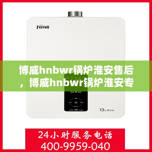 博威hnbwr锅炉淮安售后，博威hnbwr锅炉淮安专业售后服务团队支持