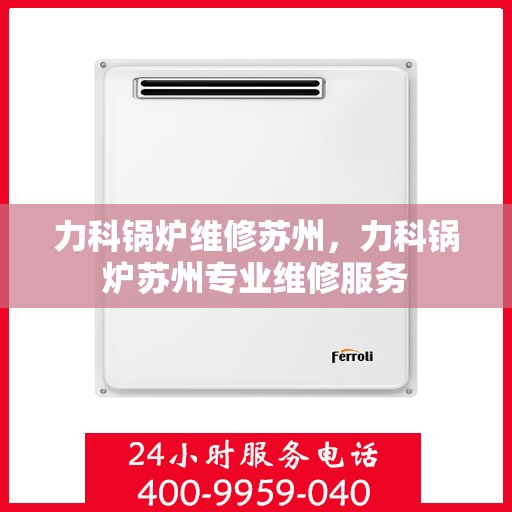 力科锅炉维修苏州，力科锅炉苏州专业维修服务