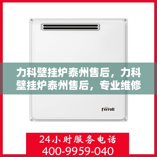力科壁挂炉泰州售后，力科壁挂炉泰州售后，专业维修，贴心服务