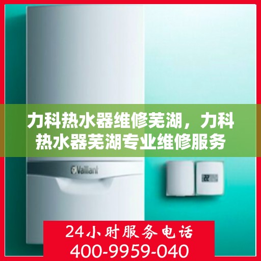 力科热水器维修芜湖，力科热水器芜湖专业维修服务