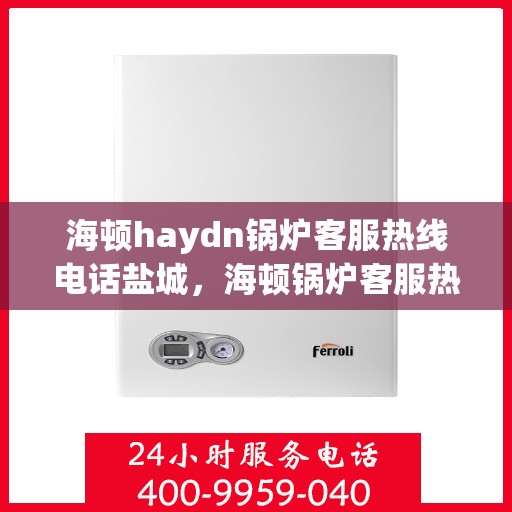 海顿haydn锅炉客服热线电话盐城，海顿锅炉客服热线电话盐城，专业支持与解决方案一站式服务
