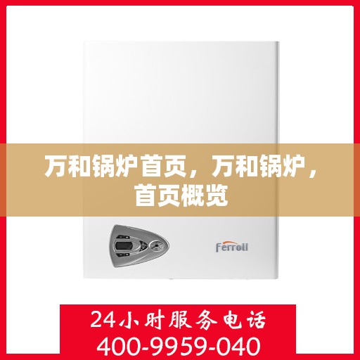 万和锅炉首页，万和锅炉，首页概览