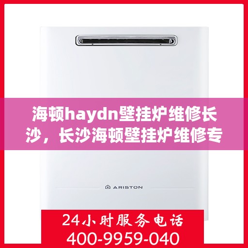 海顿haydn壁挂炉维修长沙，长沙海顿壁挂炉维修专家解析与指南