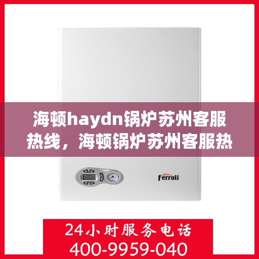 海顿haydn锅炉苏州客服热线，海顿锅炉苏州客服热线，专业支持与解决方案一站式服务