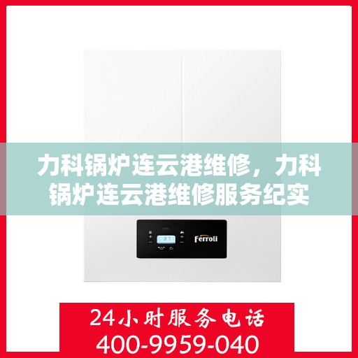 力科锅炉连云港维修，力科锅炉连云港维修服务纪实