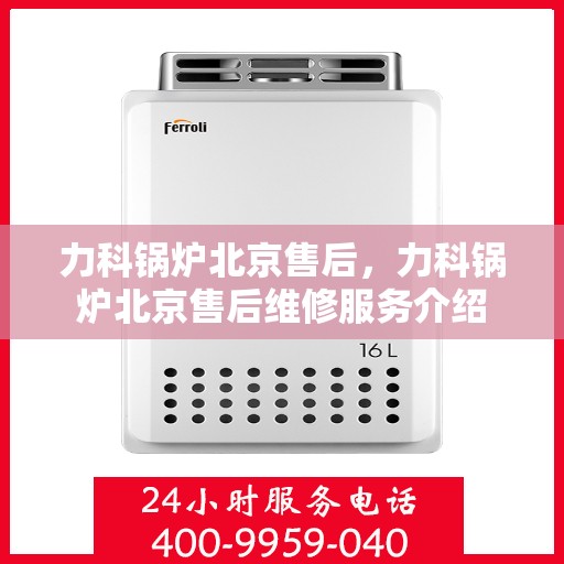 力科锅炉北京售后，力科锅炉北京售后维修服务介绍