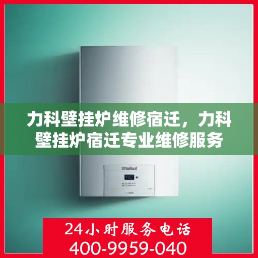 力科壁挂炉维修宿迁，力科壁挂炉宿迁专业维修服务