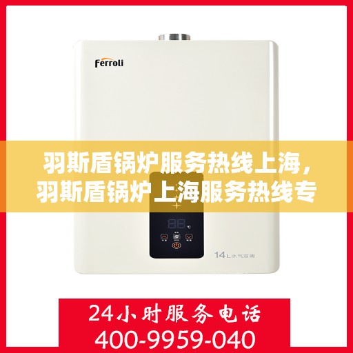 羽斯盾锅炉服务热线上海，羽斯盾锅炉上海服务热线专业解答，贴心保障