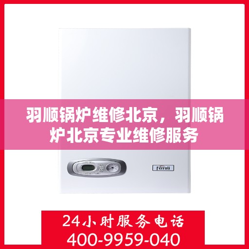 羽顺锅炉维修北京，羽顺锅炉北京专业维修服务