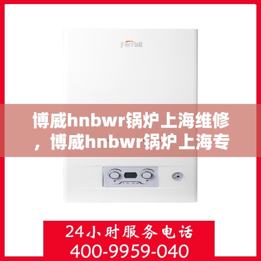 博威hnbwr锅炉上海维修，博威hnbwr锅炉上海专业维修服务