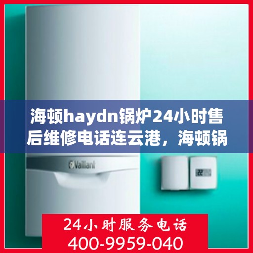 海顿haydn锅炉24小时售后维修电话连云港，海顿锅炉连云港售后维修热线全天候服务，专业解决您的锅炉问题