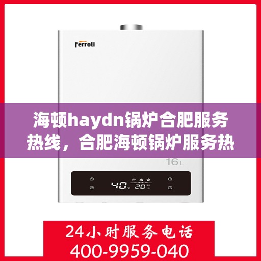 海顿haydn锅炉合肥服务热线，合肥海顿锅炉服务热线，专业解决您的锅炉问题