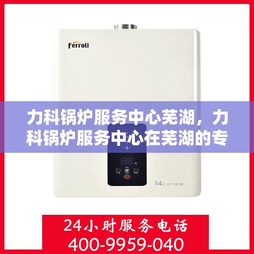 力科锅炉服务中心芜湖，力科锅炉服务中心在芜湖的专业服务之旅