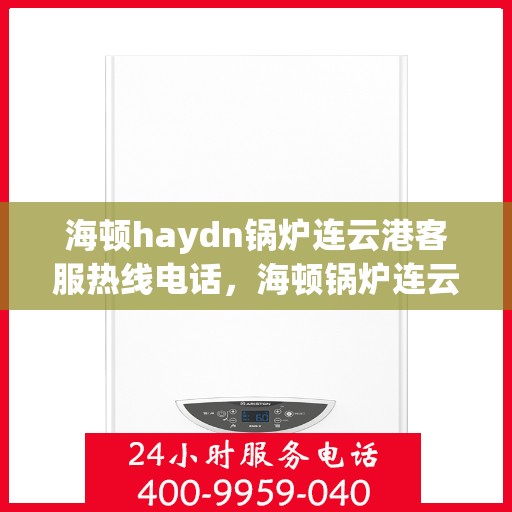海顿haydn锅炉连云港客服热线电话，海顿锅炉连云港客服热线电话，专业支持与解决方案的链接