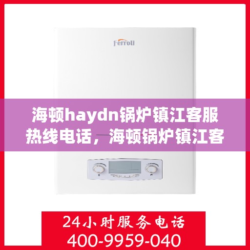 海顿haydn锅炉镇江客服热线电话，海顿锅炉镇江客服热线电话，专业支持与解决方案一站式服务