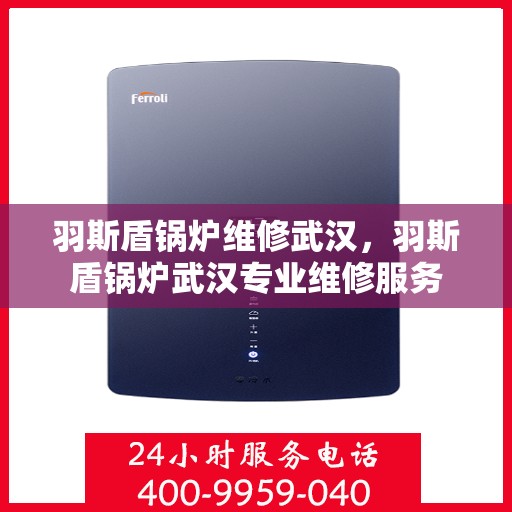羽斯盾锅炉维修武汉，羽斯盾锅炉武汉专业维修服务