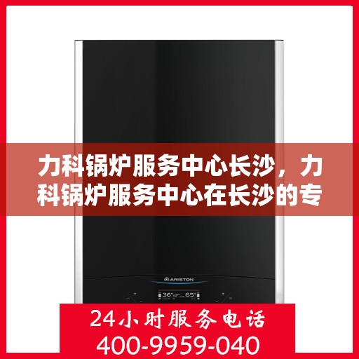 力科锅炉服务中心长沙，力科锅炉服务中心在长沙的专业服务