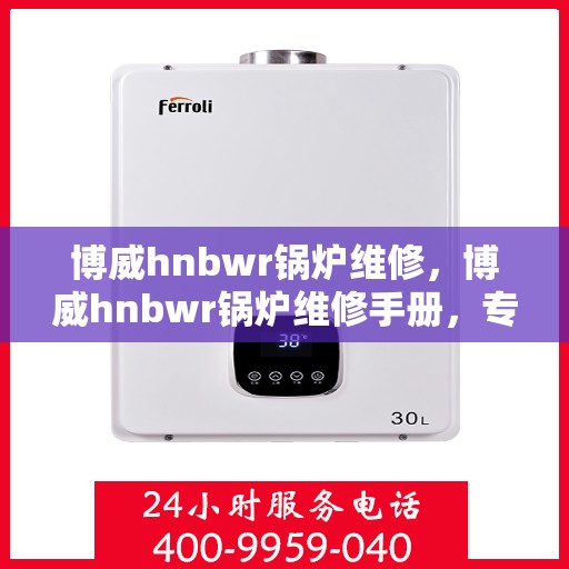 博威hnbwr锅炉维修，博威hnbwr锅炉维修手册，专业解析与快速解决方案