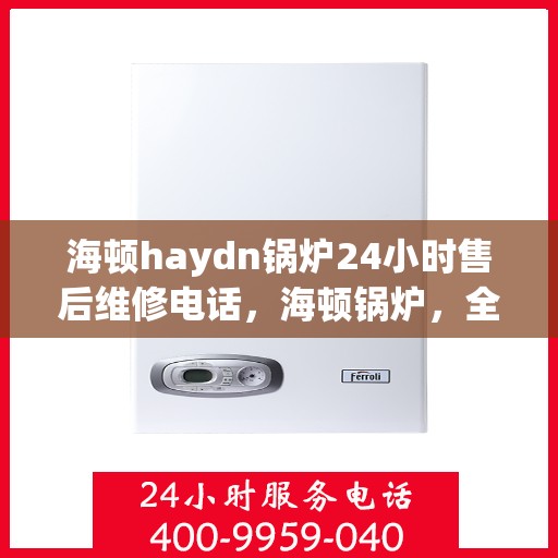 海顿haydn锅炉24小时售后维修电话，海顿锅炉，全天候售后维修服务热线，专业保障您的温暖不断电