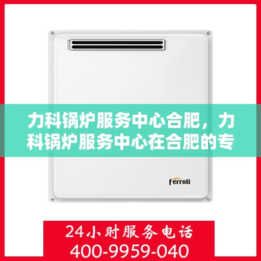 力科锅炉服务中心合肥，力科锅炉服务中心在合肥的专业服务之旅