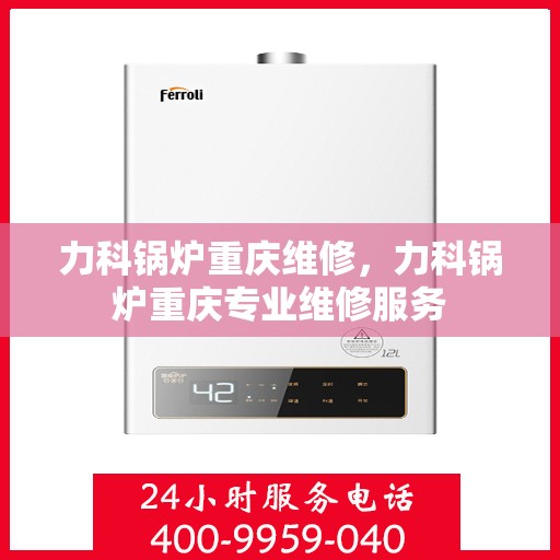 力科锅炉重庆维修，力科锅炉重庆专业维修服务