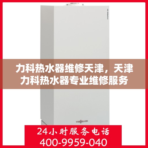 力科热水器维修天津，天津力科热水器专业维修服务
