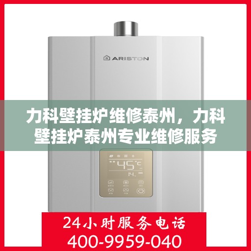 力科壁挂炉维修泰州，力科壁挂炉泰州专业维修服务
