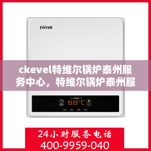 ckevel特维尔锅炉泰州服务中心，特维尔锅炉泰州服务中心，专业维修与技术支持