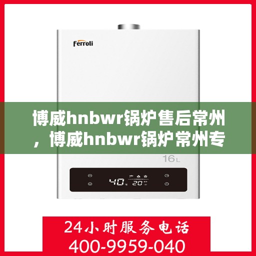 博威hnbwr锅炉售后常州，博威hnbwr锅炉常州专业售后服务