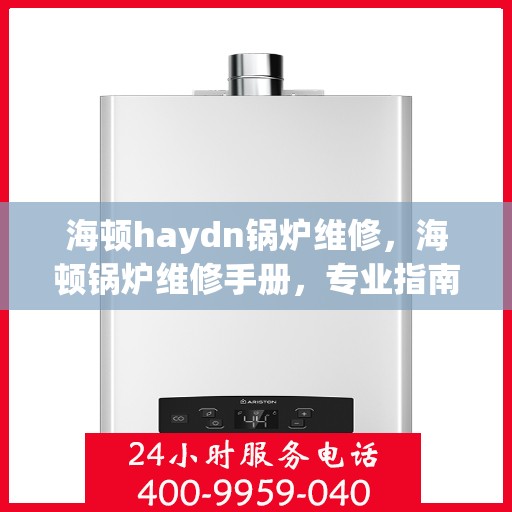 海顿haydn锅炉维修，海顿锅炉维修手册，专业指南与技巧