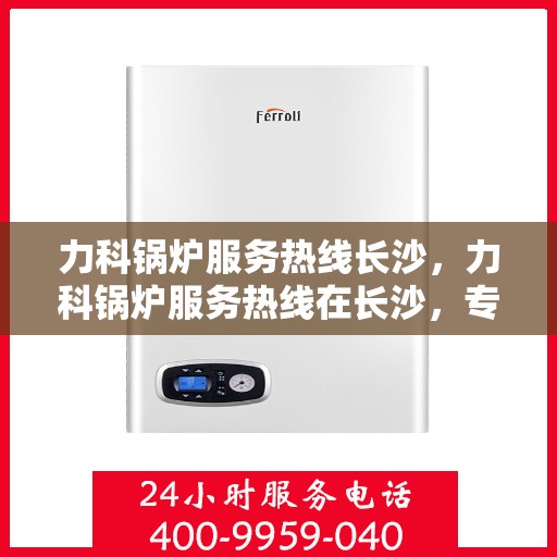 力科锅炉服务热线长沙，力科锅炉服务热线在长沙，专业维修与支持