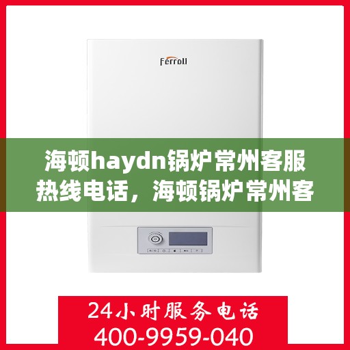 海顿haydn锅炉常州客服热线电话，海顿锅炉常州客服热线电话，专业支持与解决方案一站式服务