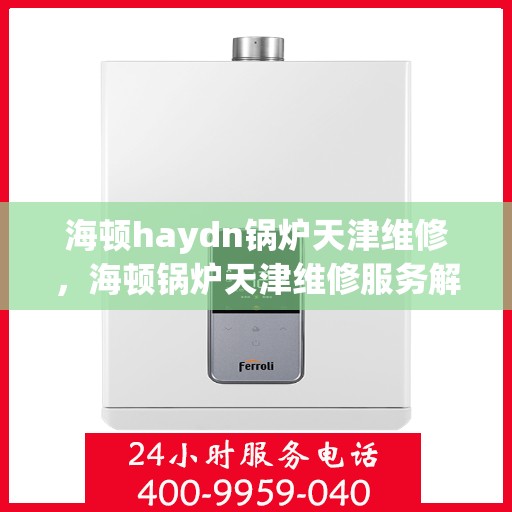 海顿haydn锅炉天津维修，海顿锅炉天津维修服务解析