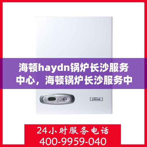 海顿haydn锅炉长沙服务中心，海顿锅炉长沙服务中心，专业维修与服务的优质之选